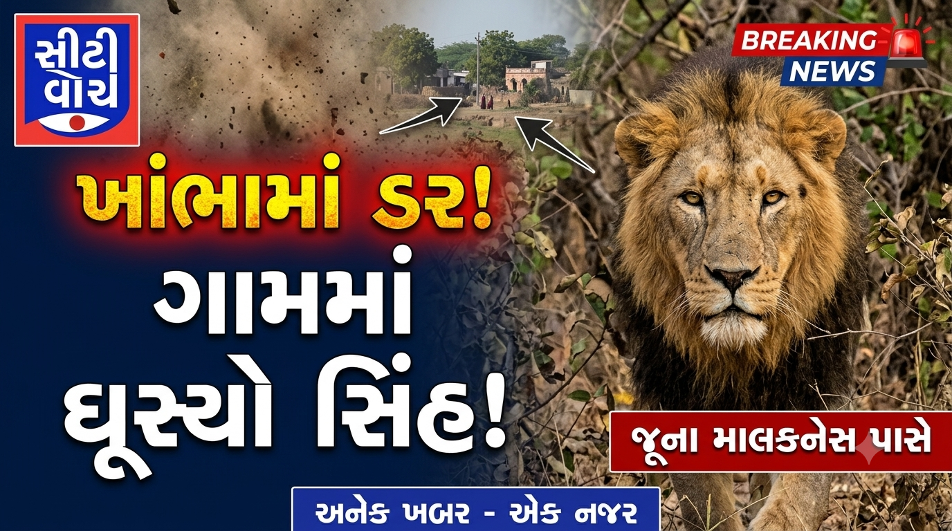 Khambha ના જૂના માલકનેસ ગામની નજીક ઘૂસ્યો સિંહ