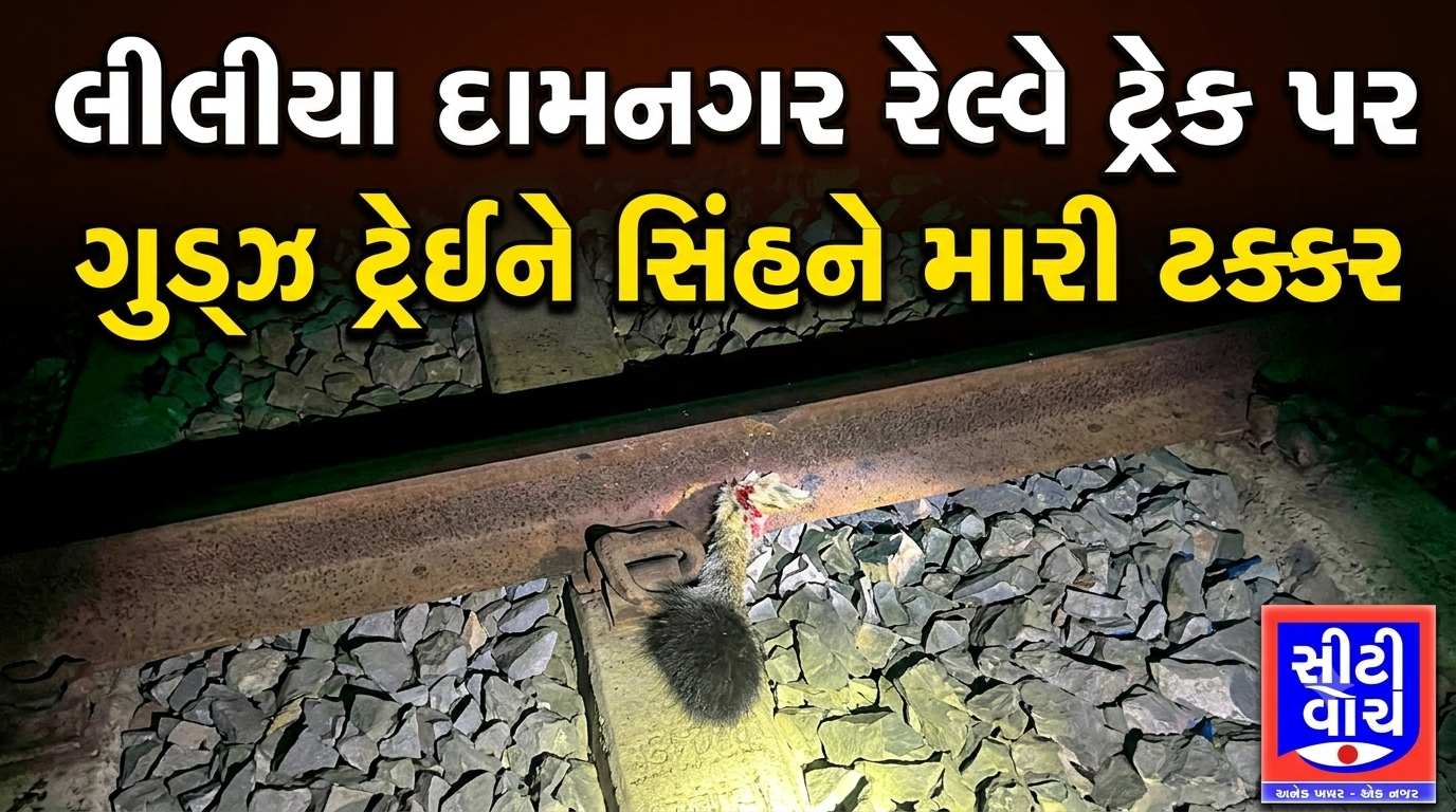 Liliya દામનગર રેલ્વે ટ્રેક પર ગુડ્ઝ ટ્રેઈને સિંહને મારી ટક્કર