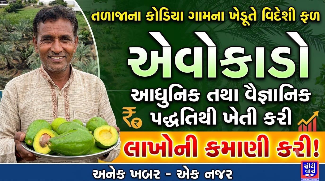 અડગ ઈરાદો જ્યારે એક થાય, ત્યારે પરંપરાગત ખેતી પણ સમૃદ્ધિનું માધ્યમ બની જાય છે